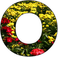 Deko-Buchstaben-Blumen_O.jpg